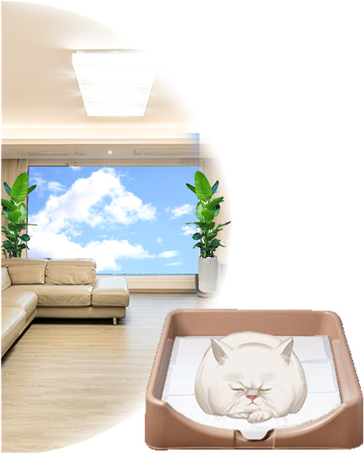 직장인을 위한 장례