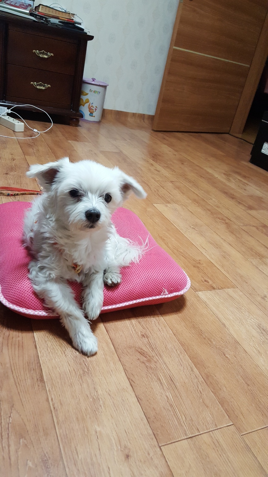 20241203_남구_보리.jpg