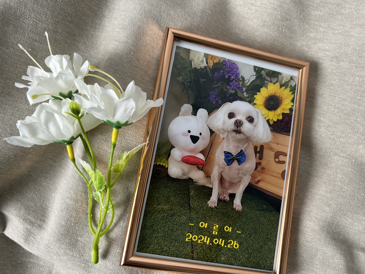 KakaoTalk_20240911_162442078_02.jpg KakaoTalk_20240911_162442078_02.jpg