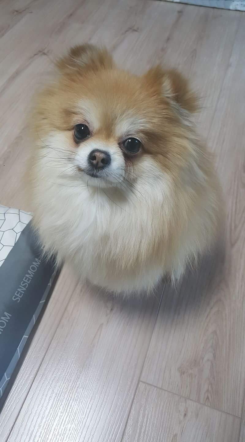 20250127_부천_봉봉.jpg