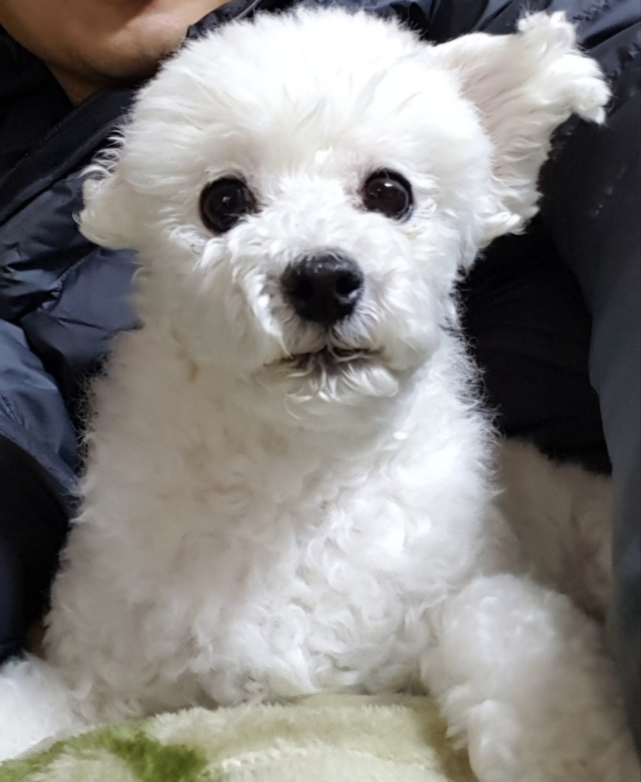 20250130_부평_수리아.jpg