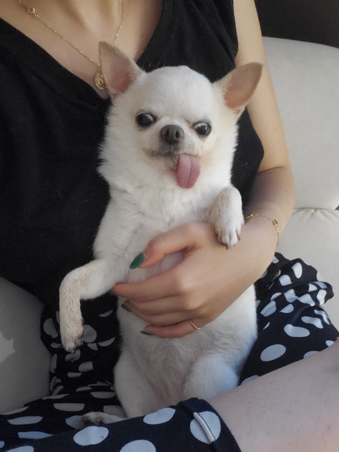 20250204_부평_하양.jpg