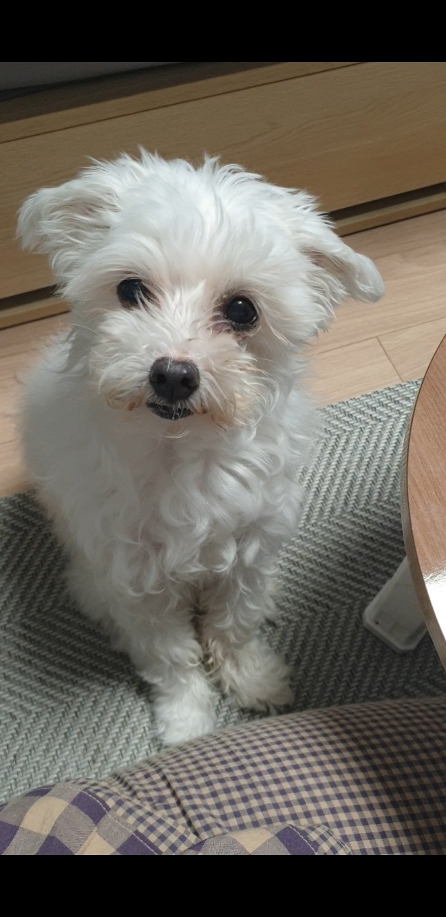 20250207_동암_짱이.jpg