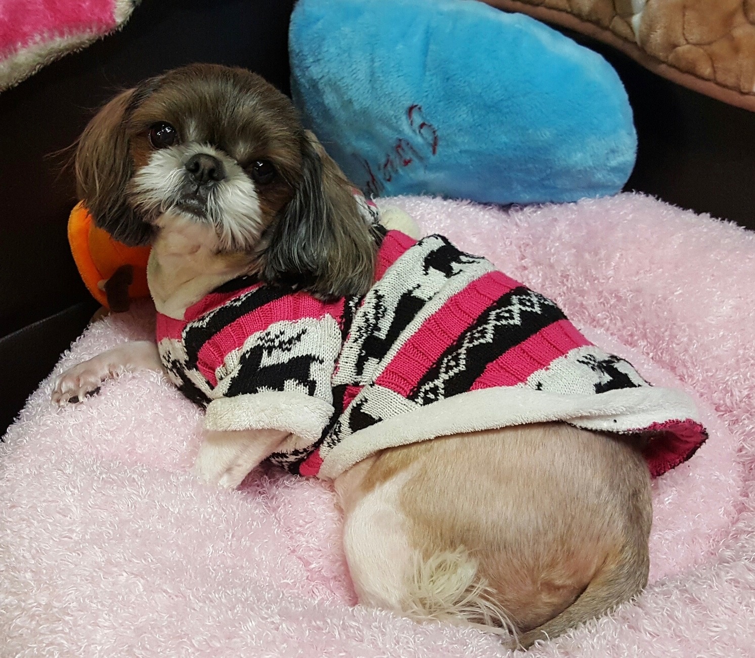 20250209_동인천_공주.jpg