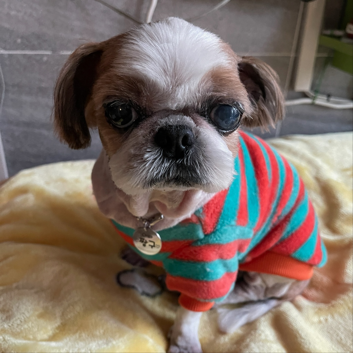 20250210_부천_짱구.jpg