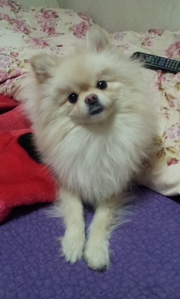 20250213_부평_구름.jpg