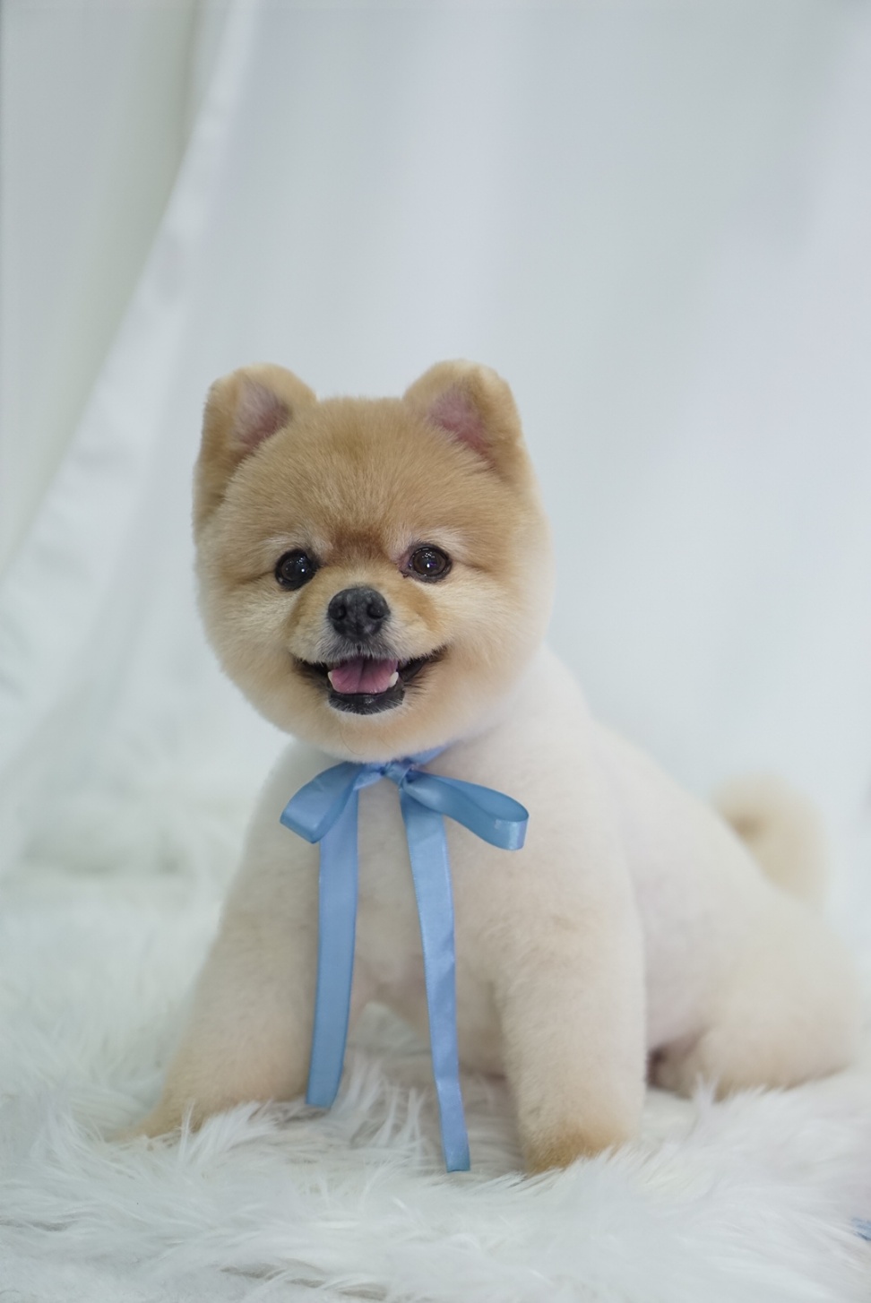 20250215_부평_용이.jpg