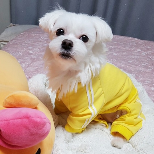 20250217_부천_뽀뽀.jpg
