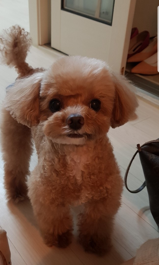 20250218_남동구_삐삐.jpg