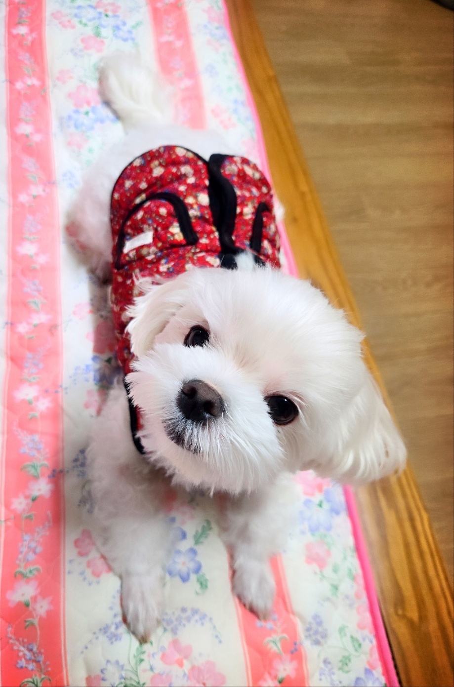 20250224_부평_자몽.jpg