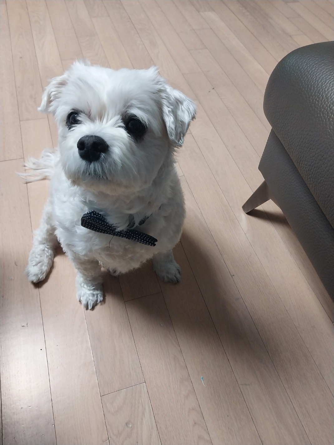 20250302_서구_포동.jpg