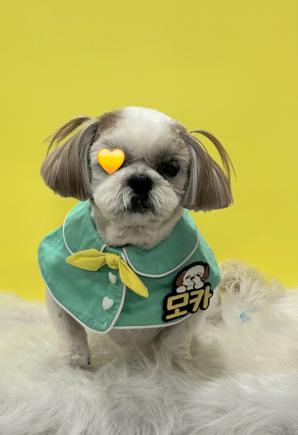 20250305_광명_모카.jpg