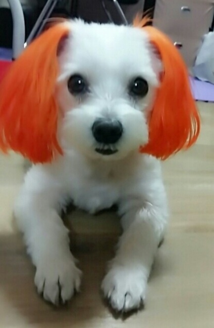20250305_미추홀구_미미.jpg