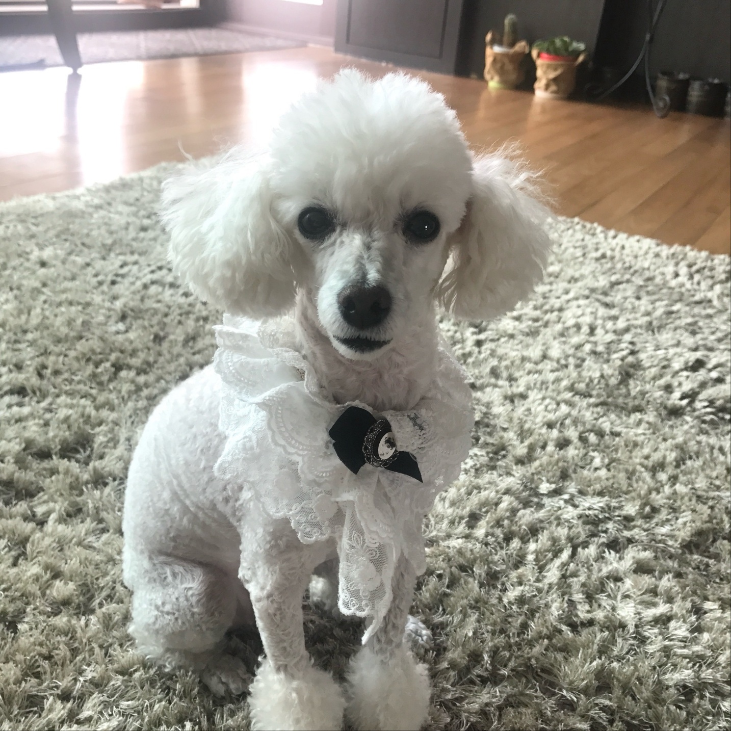 20250309_양천_송이.jpg