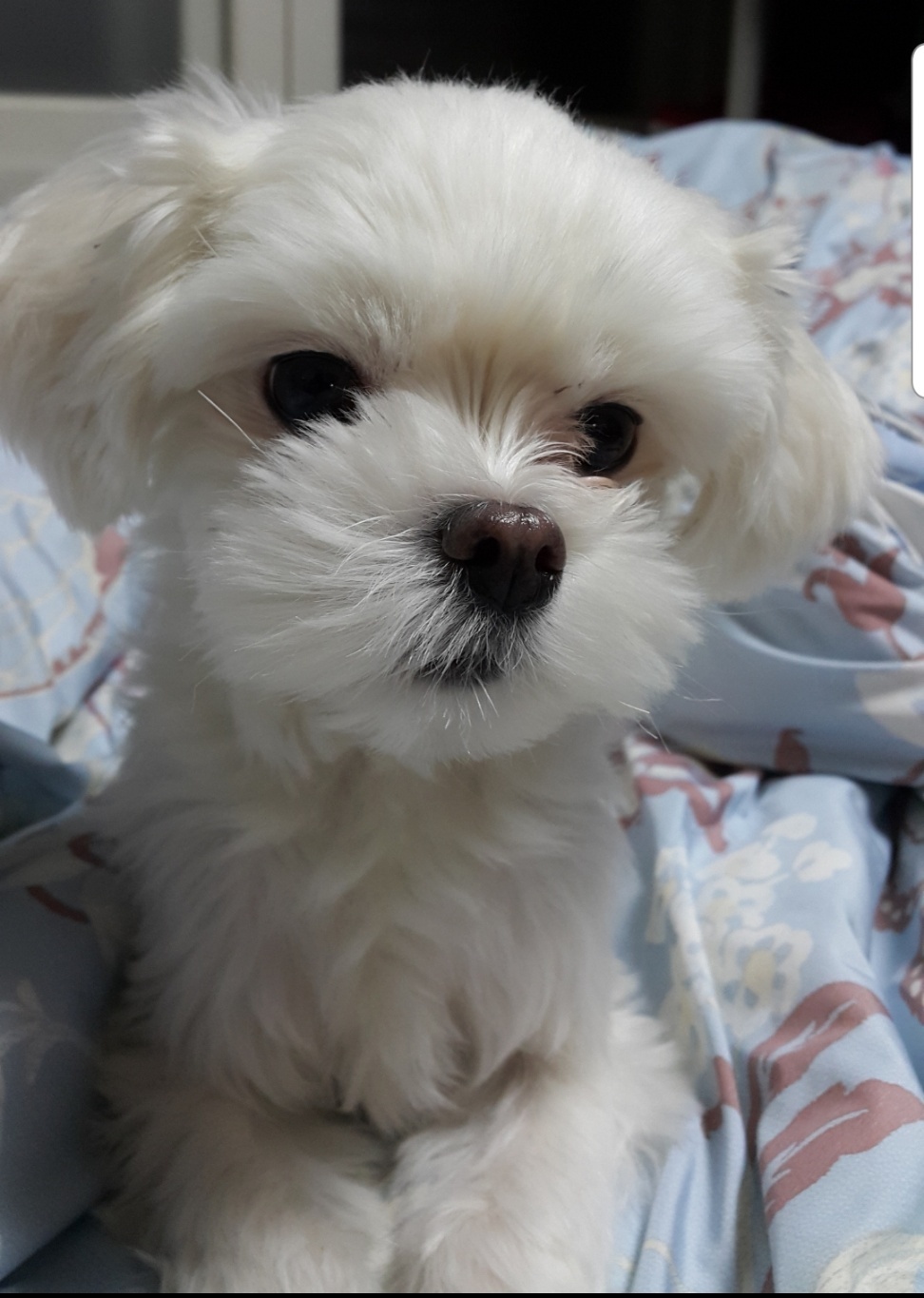 20250305_송도_달.jpg
