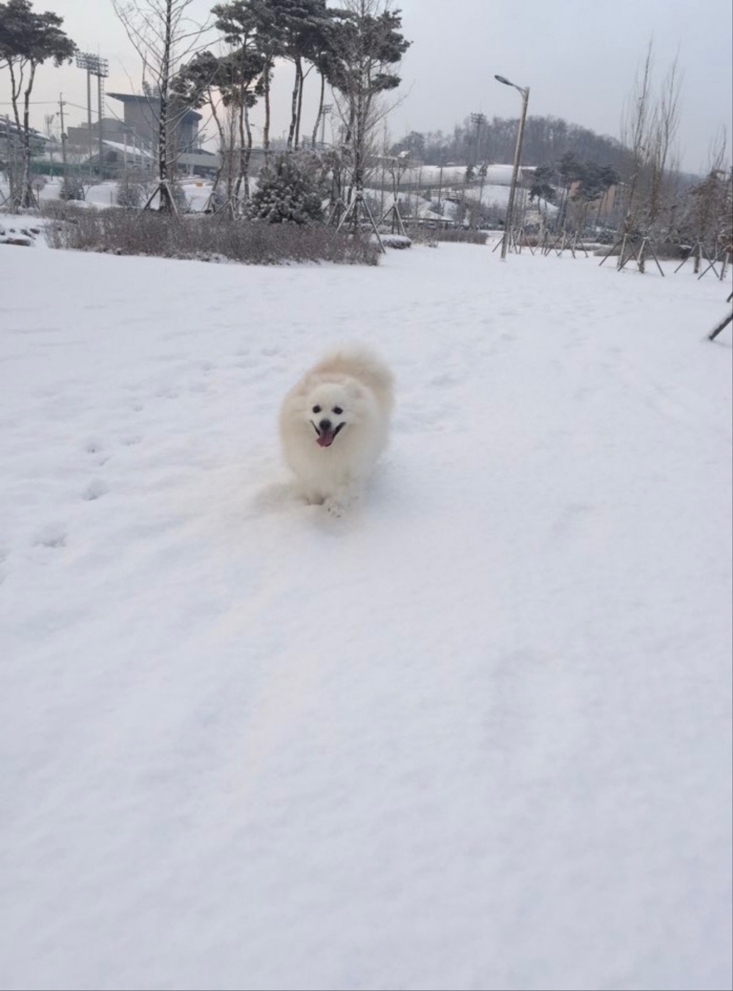 20250307_송도_토이.jpg