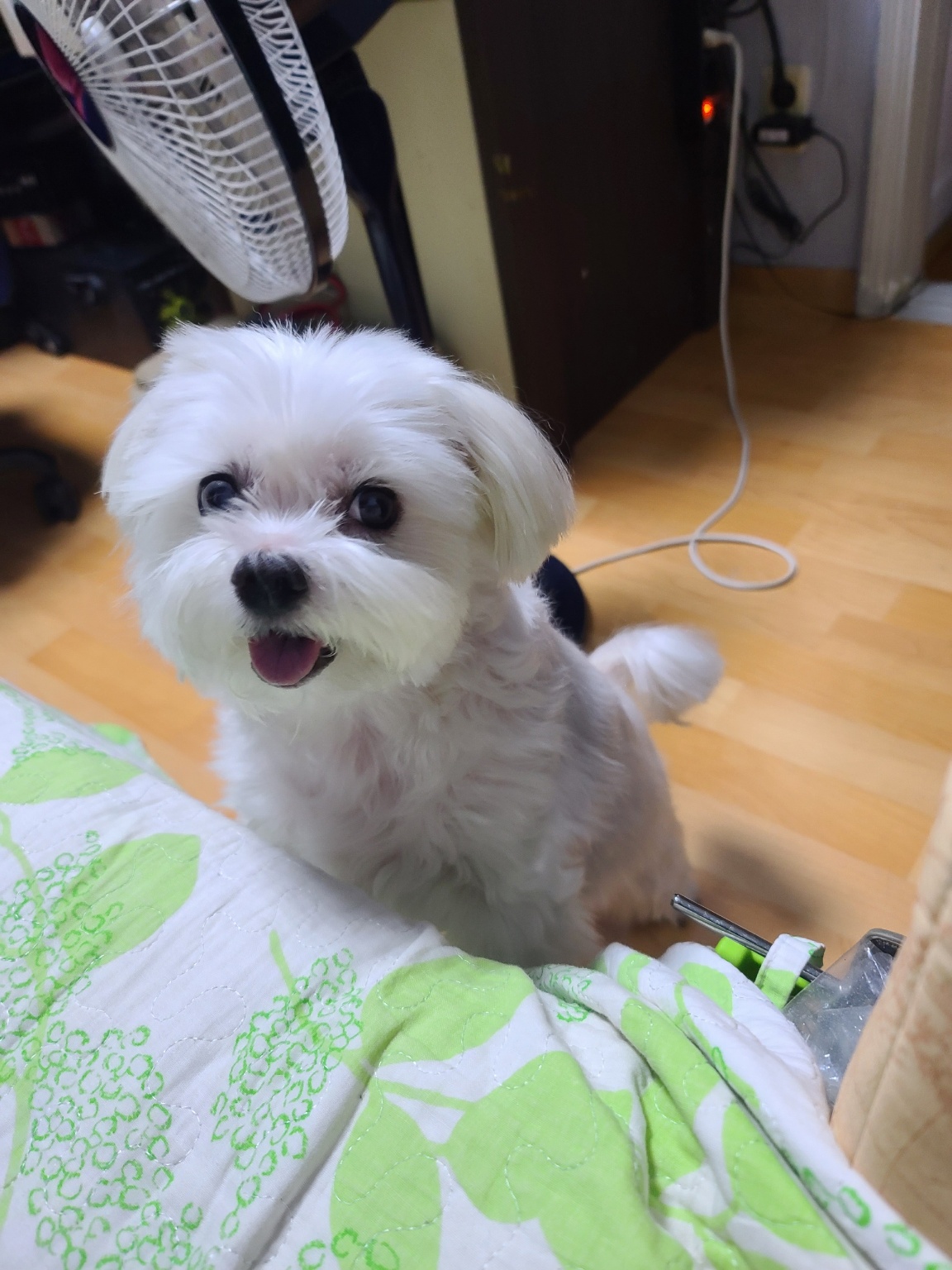 20250311_부평_뽀롱.jpg