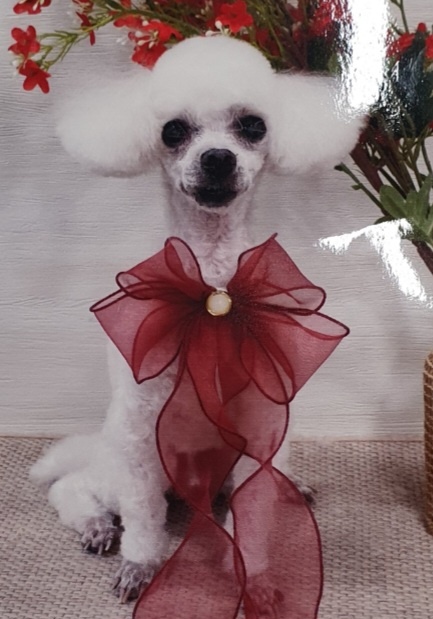 20250312_계양_강이.jpg