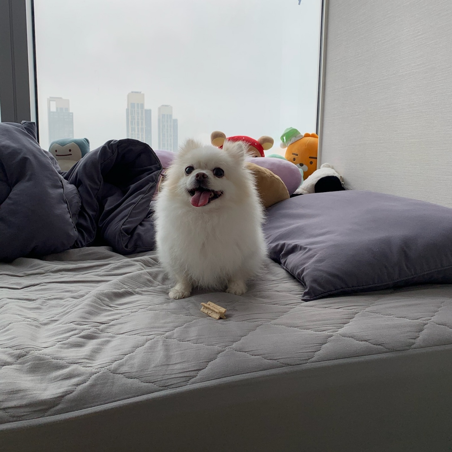 20250312_부평_두부.jpg