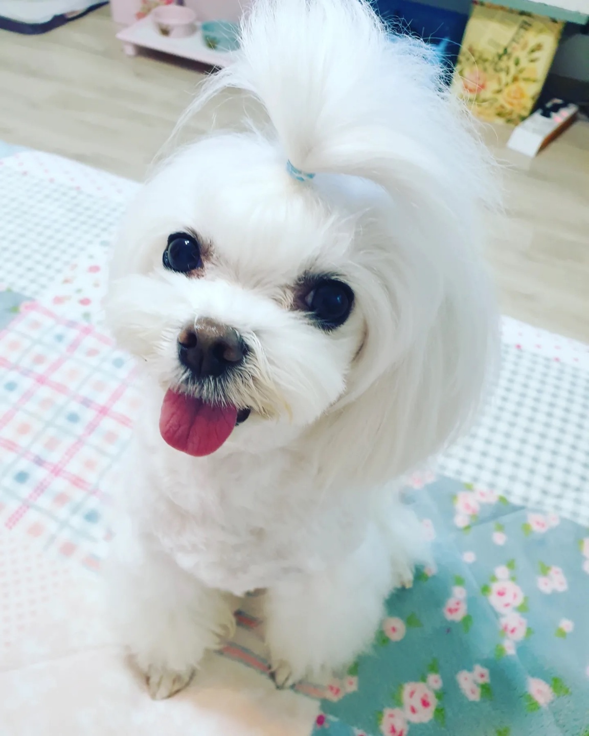 20250312_부평_슈가.jpg
