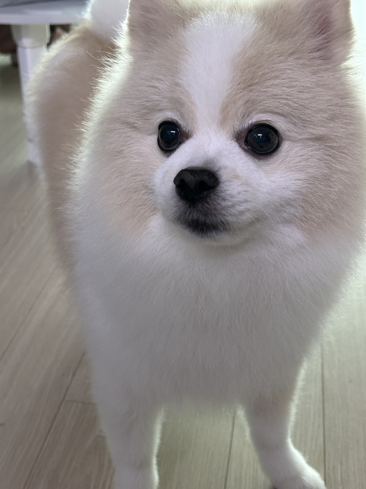 20250312_구로_꼬물.jpg