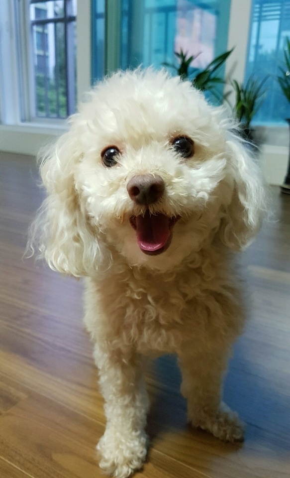 20250312_서초구_아름.jpg