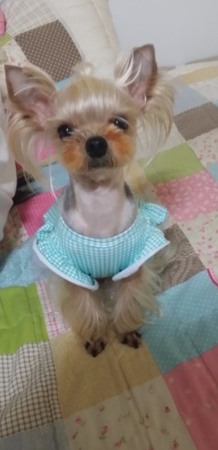 20250314_미추홀구_콩.jpg