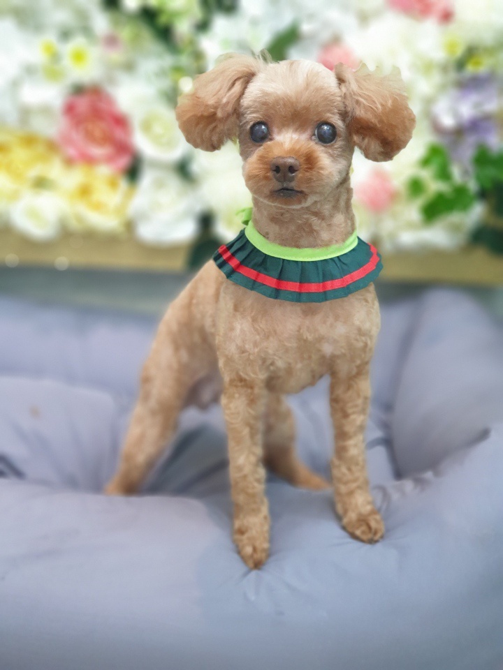 20250315_미추홀구_봉순.jpg