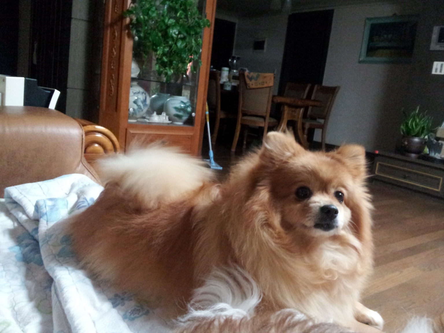 20250316_구로_콩이.jpg