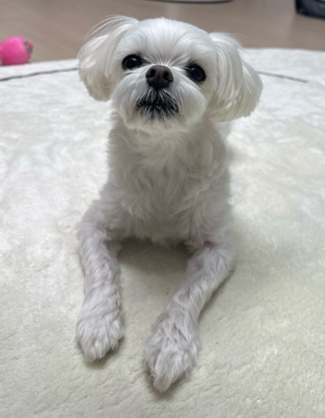 20250317_서구_뚱이.jpg