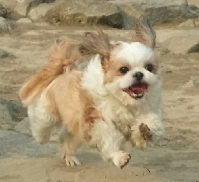 20250318_구로_메론.jpg