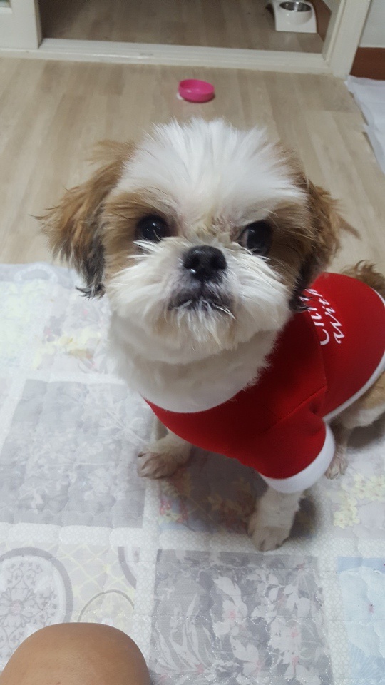 20250318_금천구_서연.jpg