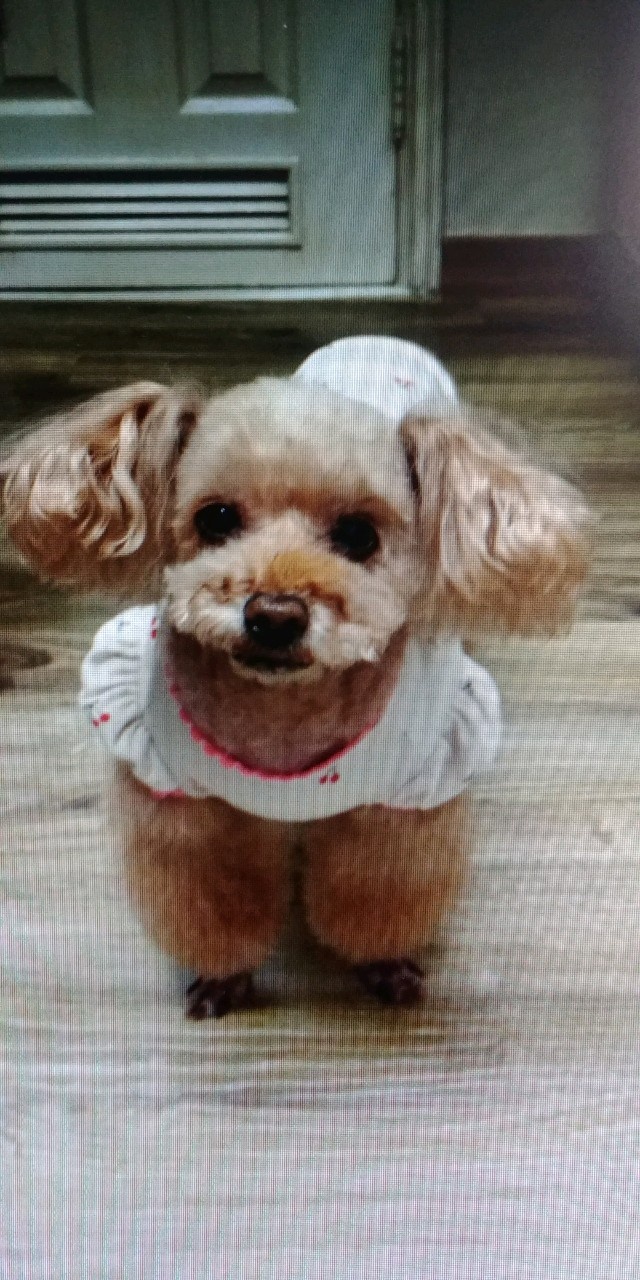 20250319_부천_낭낭.jpg