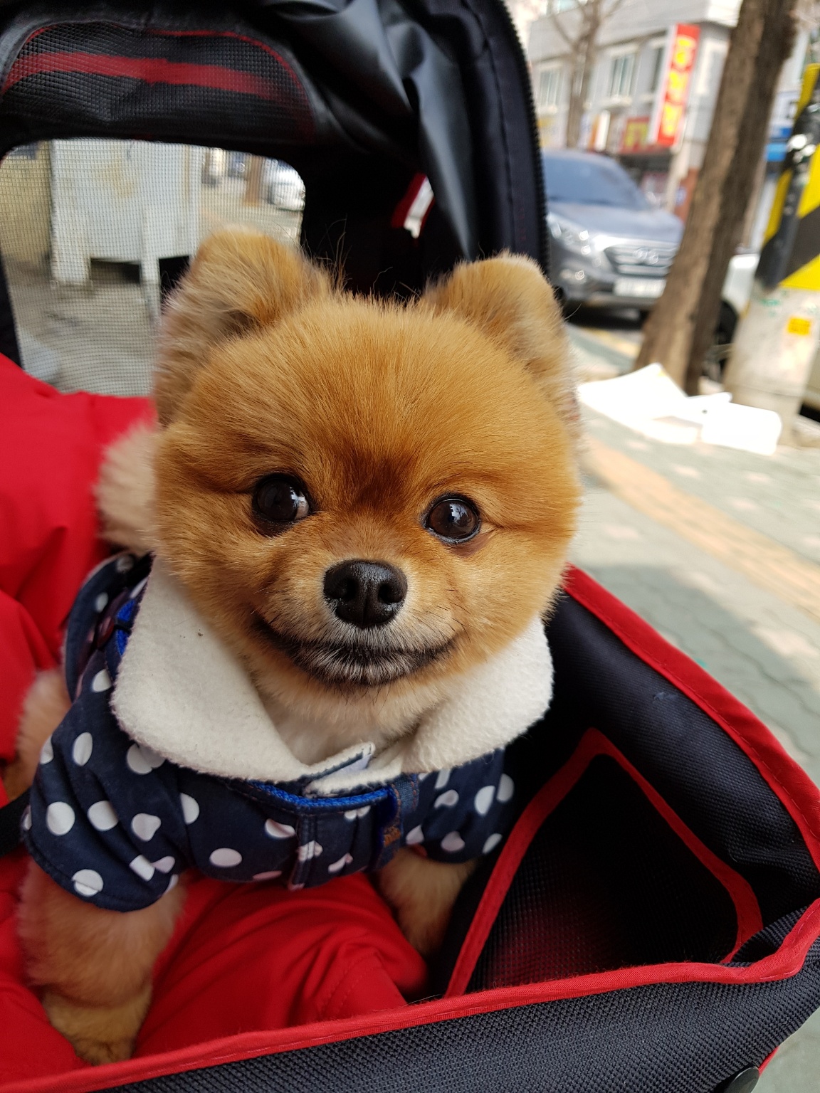 20250320_남동구_순돌.jpg