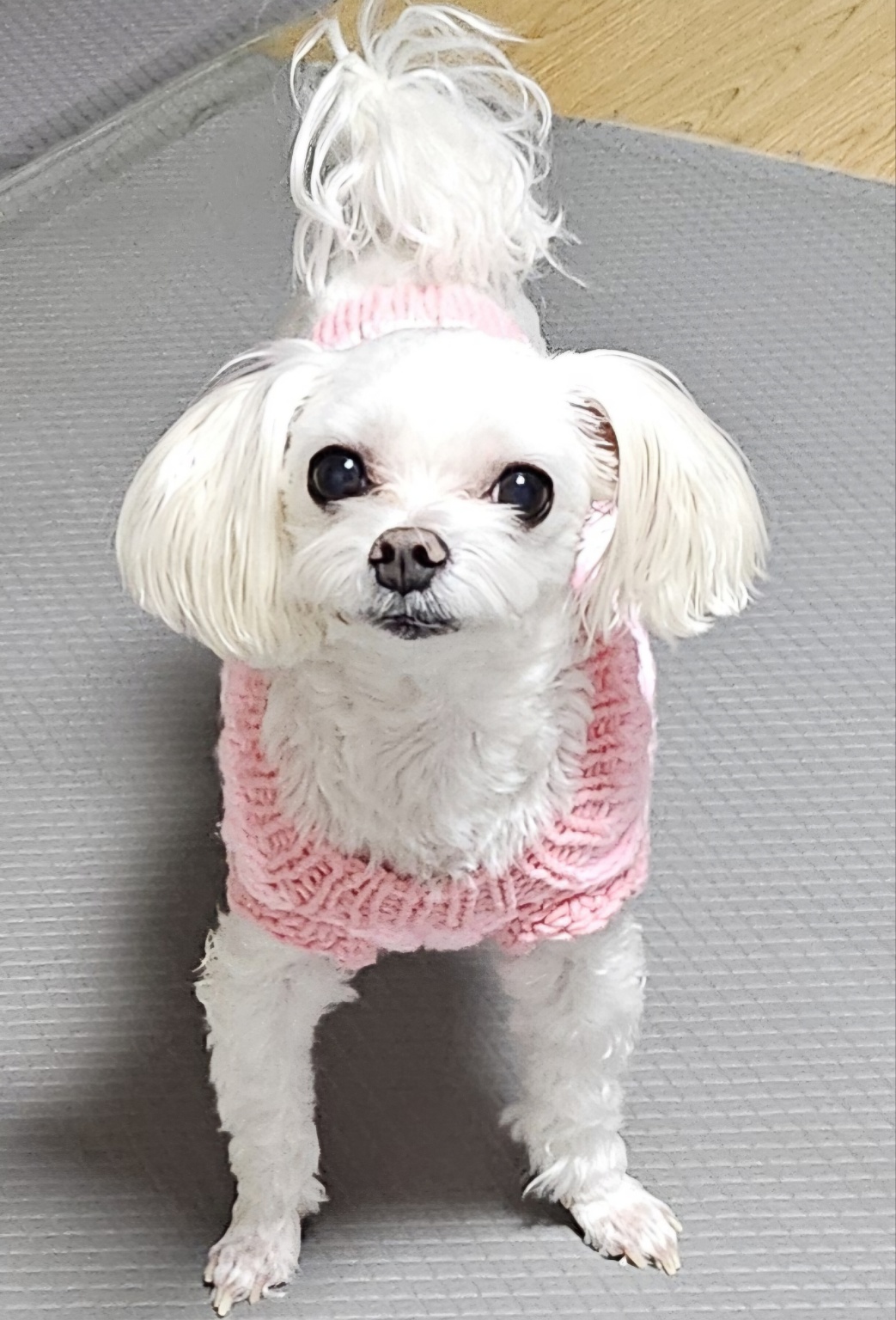 20250320_서구_아리.jpg