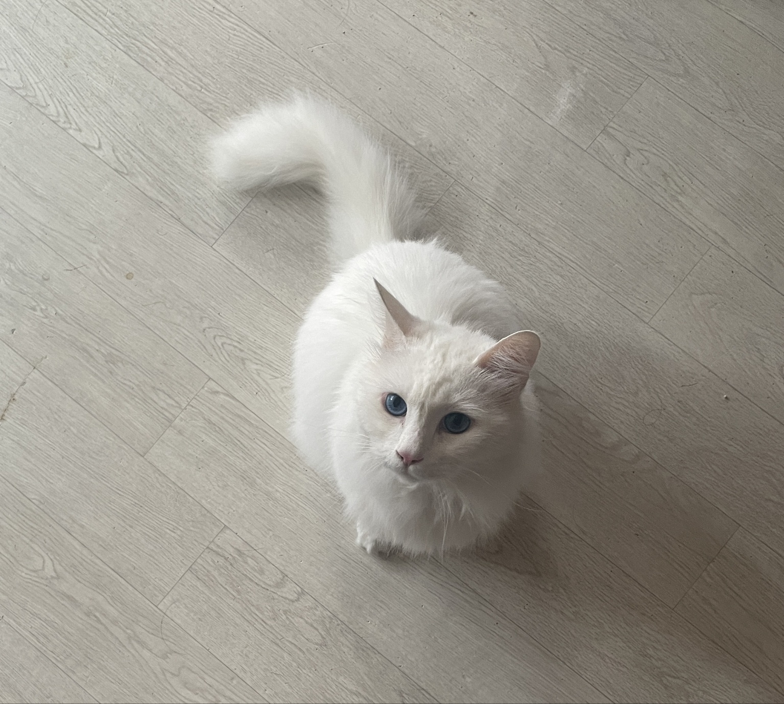 20250321_부평_백미.jpg