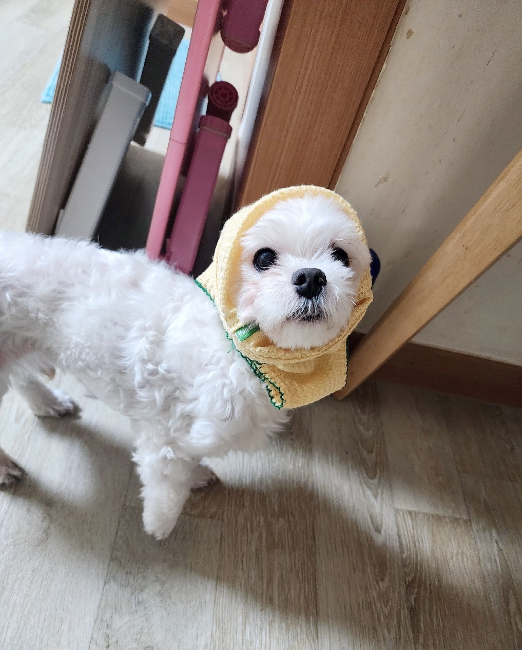 20250323_구로_곰팅.jpg