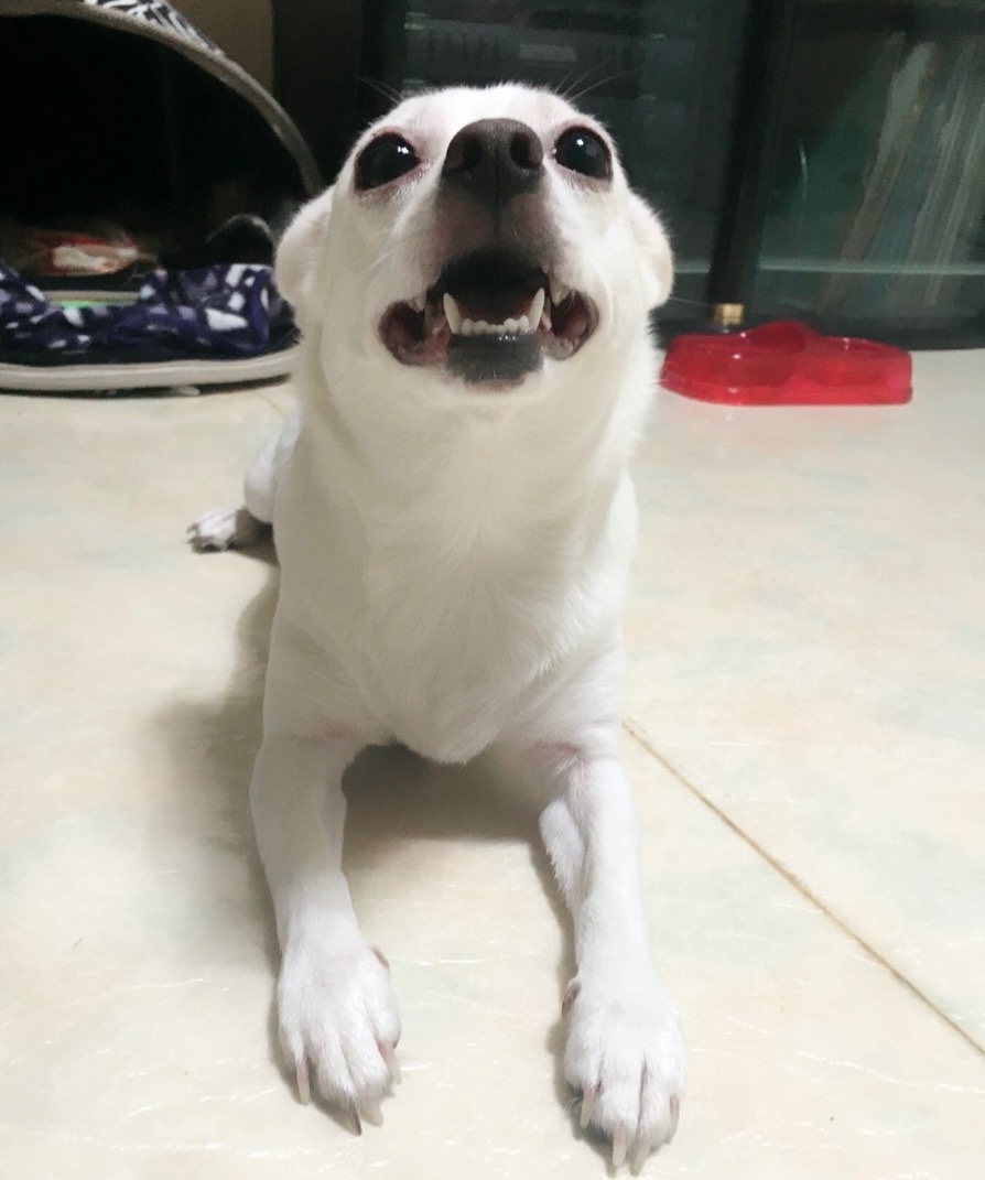 20250327_부천_둥이.jpg