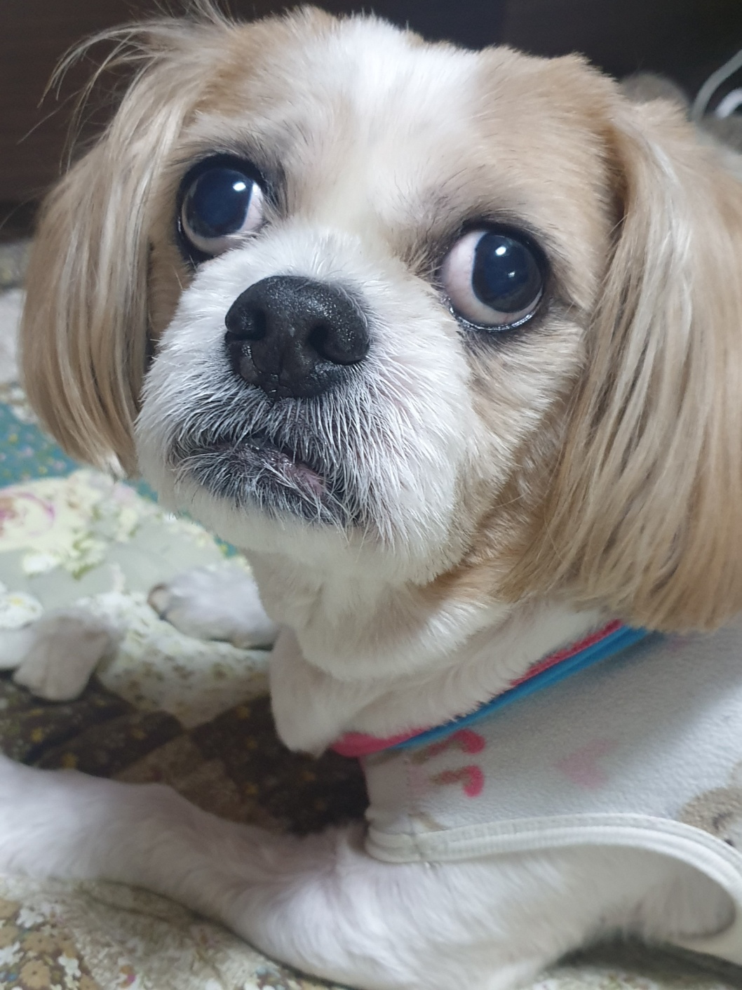 20250327_부평_장동동.jpg