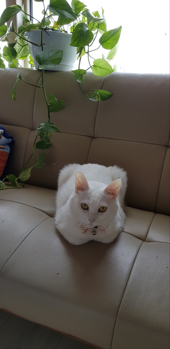 20250328_부평_하니.jpg