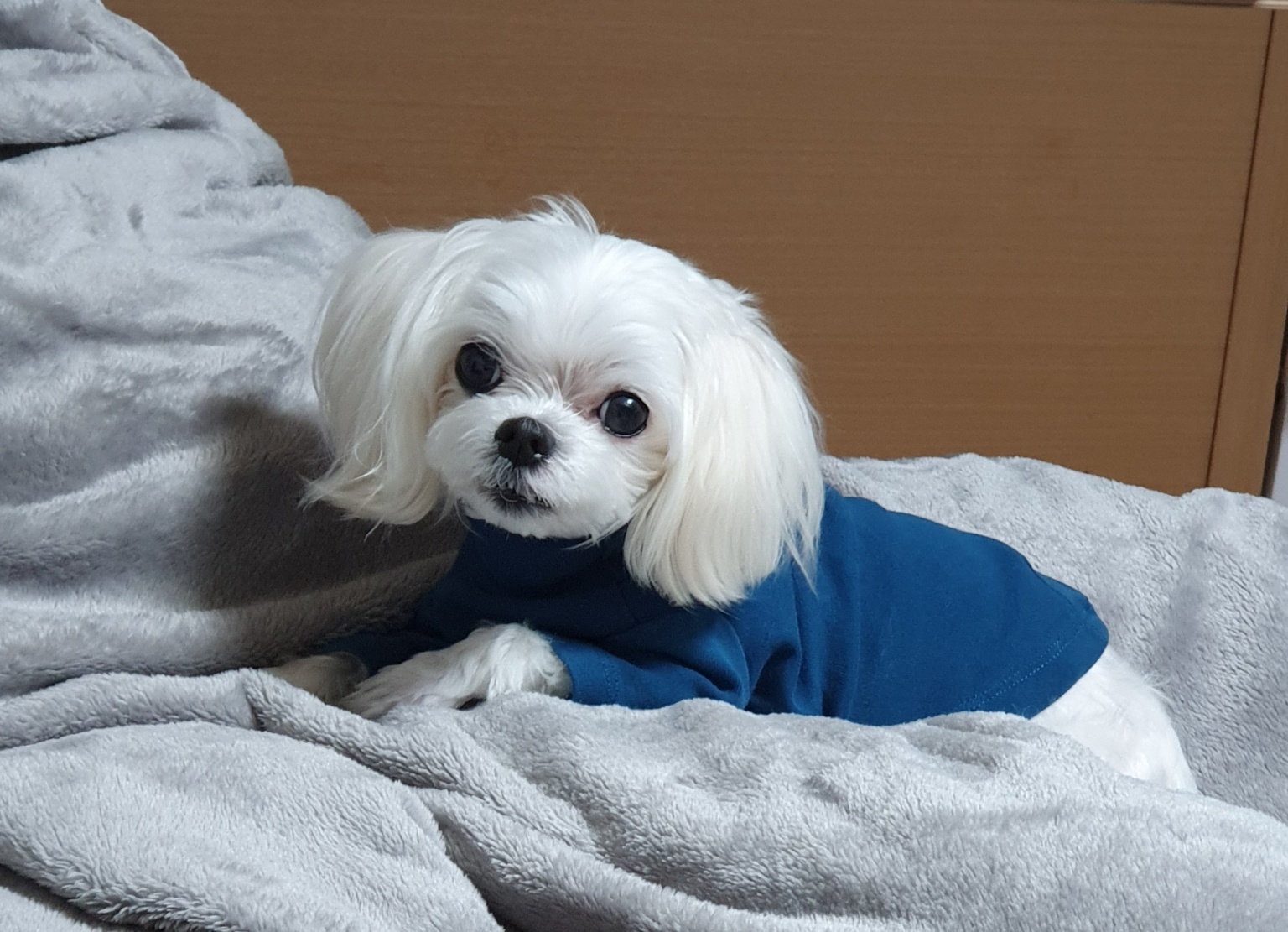 20250402_부천_크림.jpg