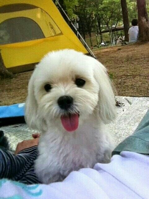 20250406_광명_동동.jpg