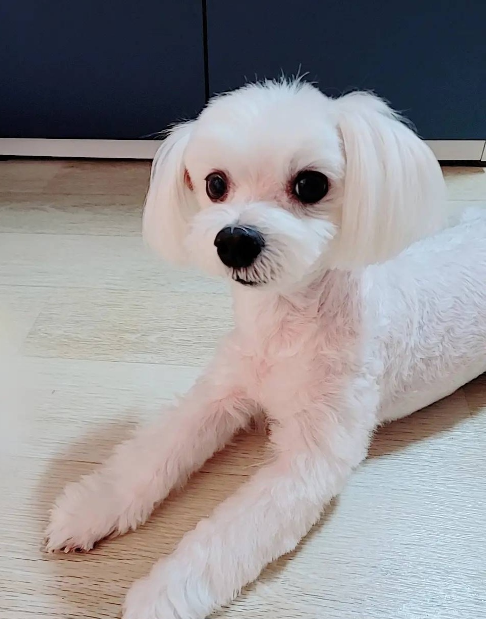 20250407_부평_토미.jpg