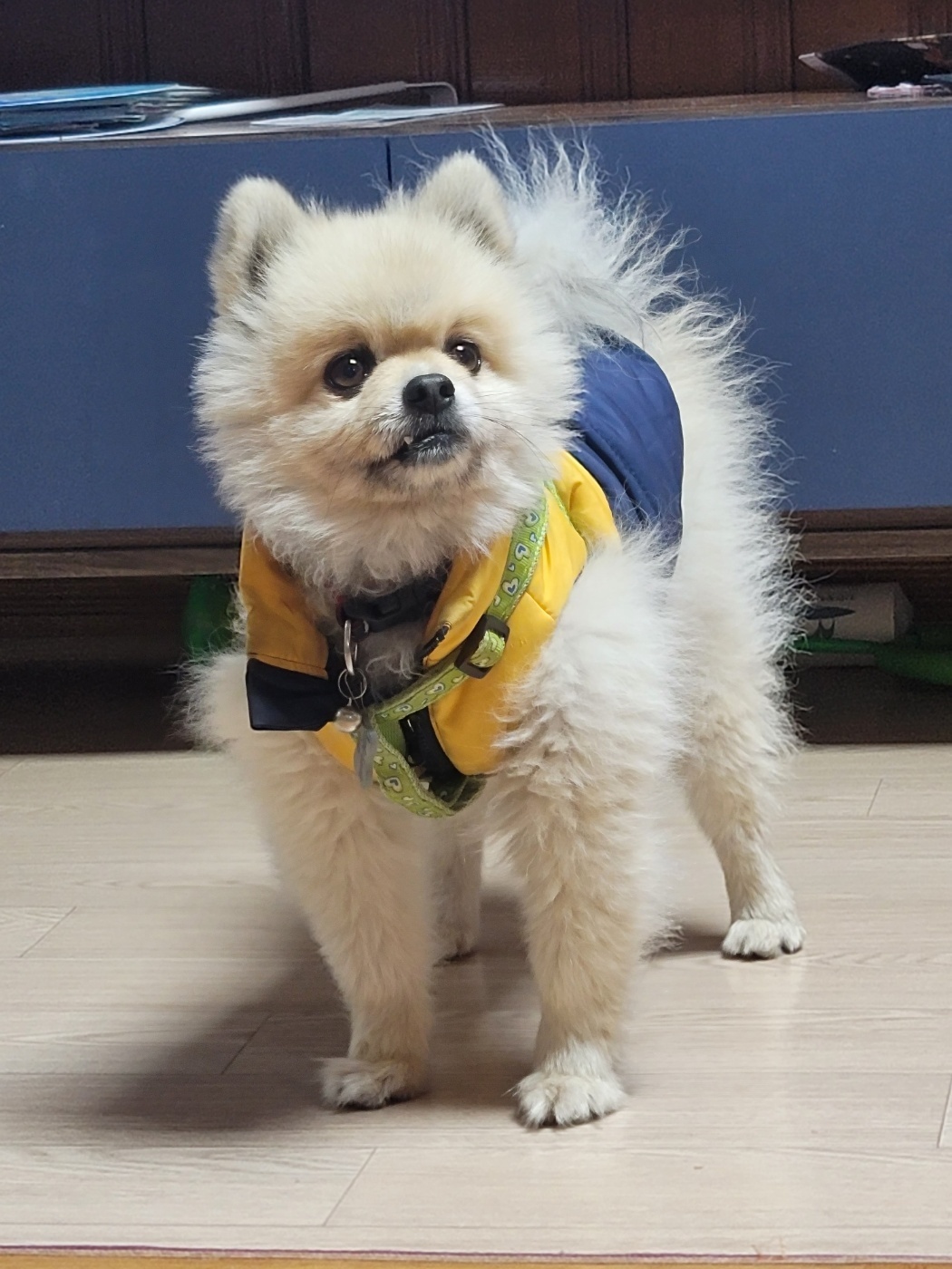 20250408_미추홀_깐돌.jpg