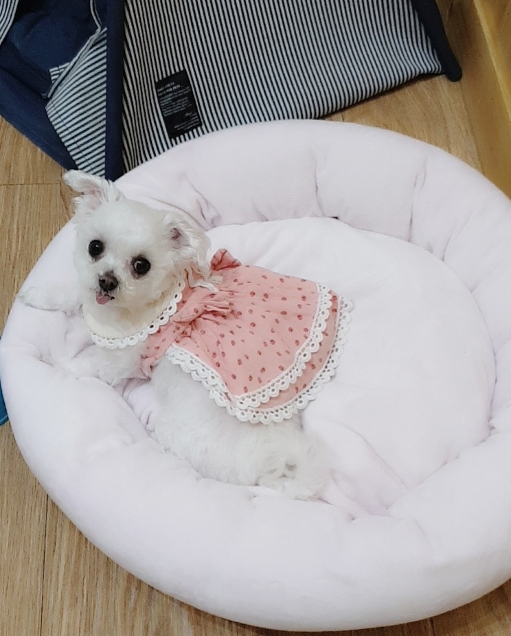 20250411_부평_라콩.jpg