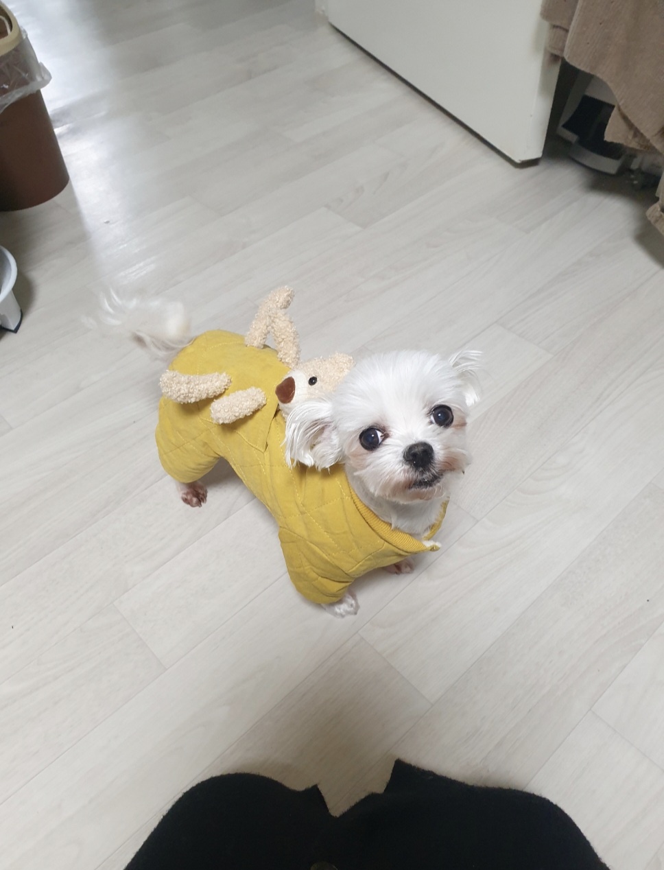20250412_부평_쫑.jpg