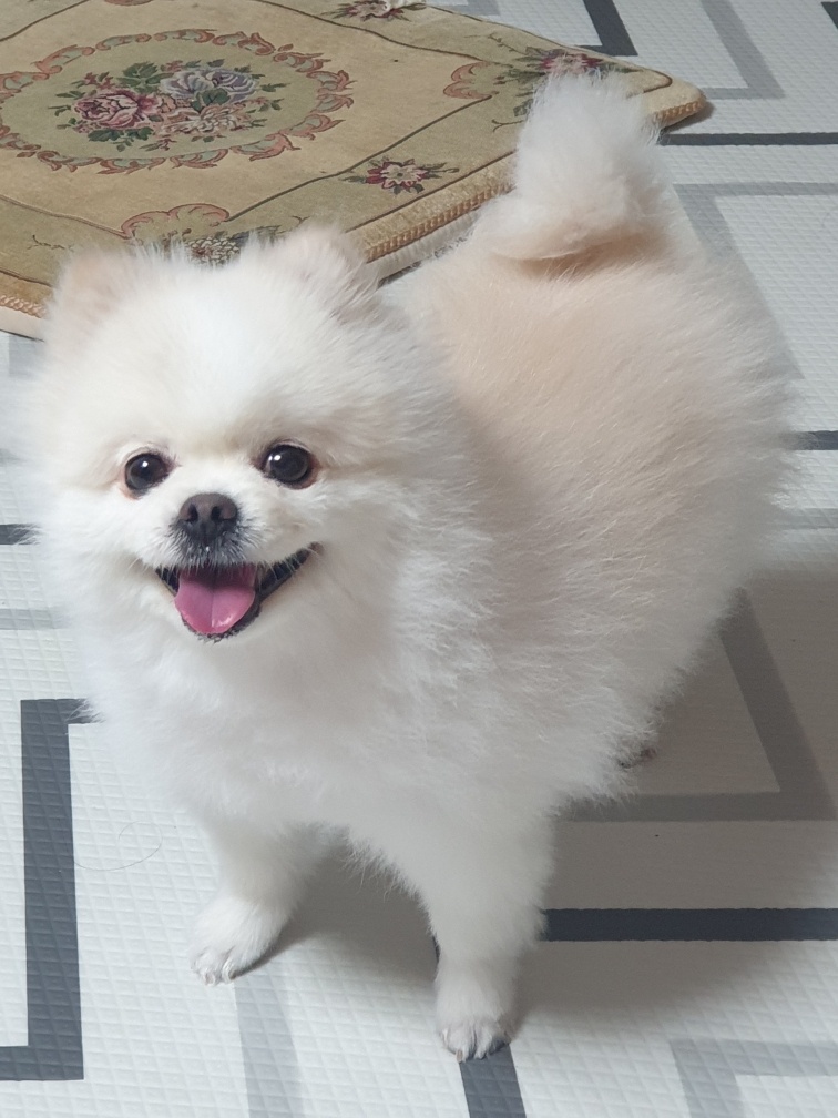 20250527_양천_코코.jpg
