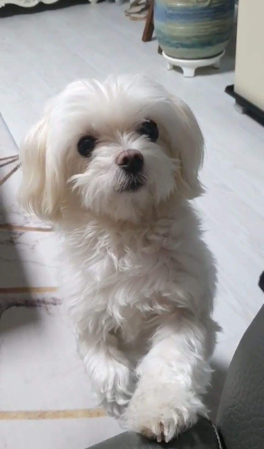 20250530_갈산동_이승기.jpg