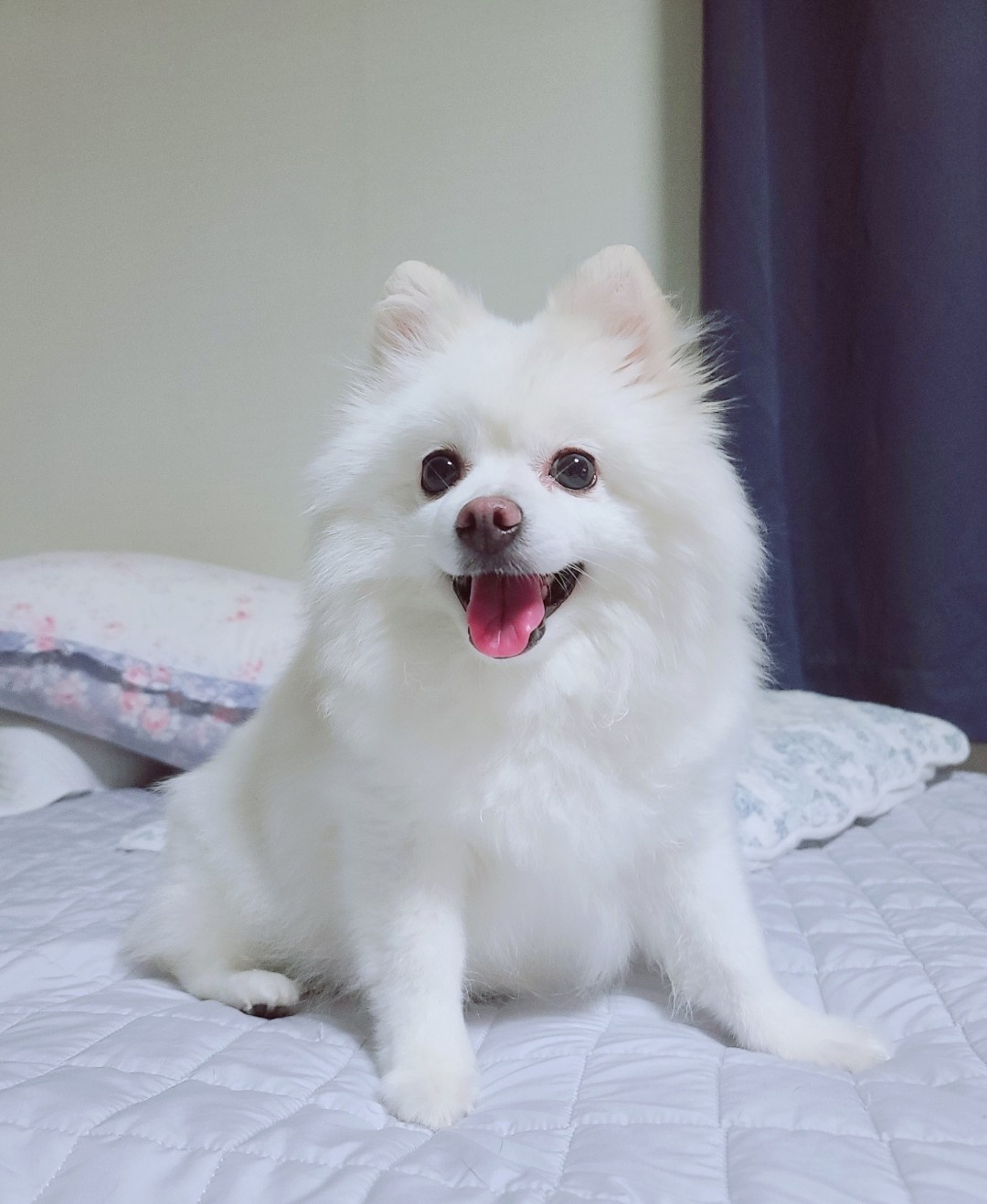 250607_부평_현아.jpg