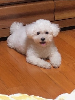 250609_미추홀_뚱이.jpg